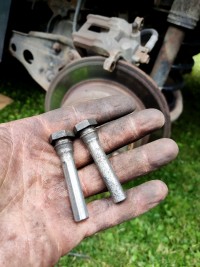 IMG_20230802_134401_(750_x_1000_px).jpg