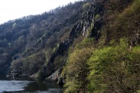 IMG_2312.jpg