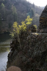 IMG_2320.jpg