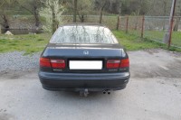 IMG_3020 (1024x683).jpg