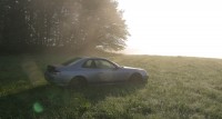 IMG_3268out.jpg