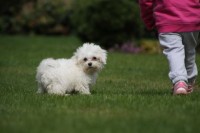 IMG_3278.JPG