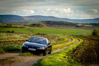 +IMG_4530 LR+.jpg
