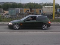 IMG_5069.JPG
