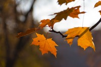 IMG_5153.jpg