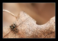 +IMG_6628+.jpg