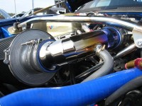 IMG_7487Large.jpg