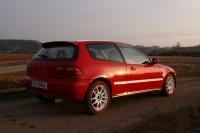 IMG_7491.JPG
