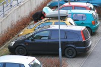 IMG_7610+.jpg