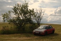 IMG_9152.jpg