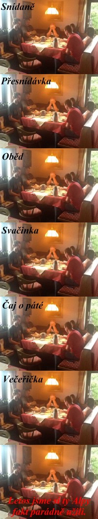 Letos jsme si ty Alpy.jpg