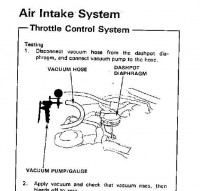 membrána na klapce.jpg