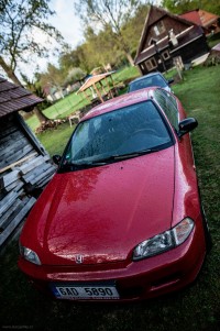 MUL_4009-r3-2832x4256.jpg