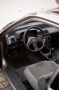 MUL_5037---1363 x 2048.jpg