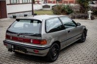 MUL_5050---2048 x 1363.jpg