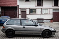 MUL_5051---2048 x 1363.jpg