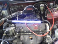 neon 50CM.jpg