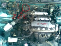 Obraz052.jpg
