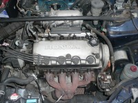P1030339.JPG