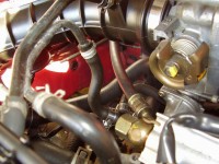 Resize of P3150008.JPG