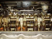 Resize of P4190012.JPG