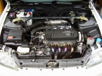 Resize of P5250009.JPG