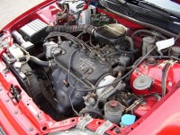 Resize of P6150017.JPG