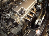 Resize of P8190009.JPG