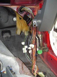 Resize of PA280003.JPG