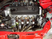 Resize of PC310005.JPG