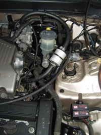 SNV83484.JPG