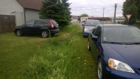 wp_20150623_12_51_49_pro.jpg