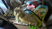 WP_20190627_20_02_01_Pro.jpg